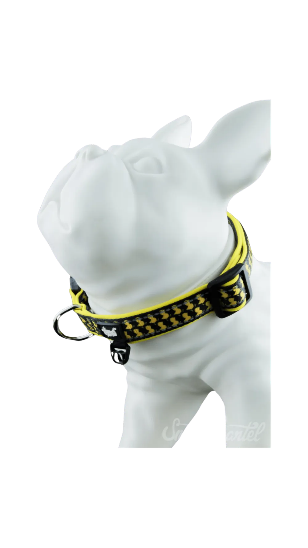 HeadyPet Pet Collar V2
